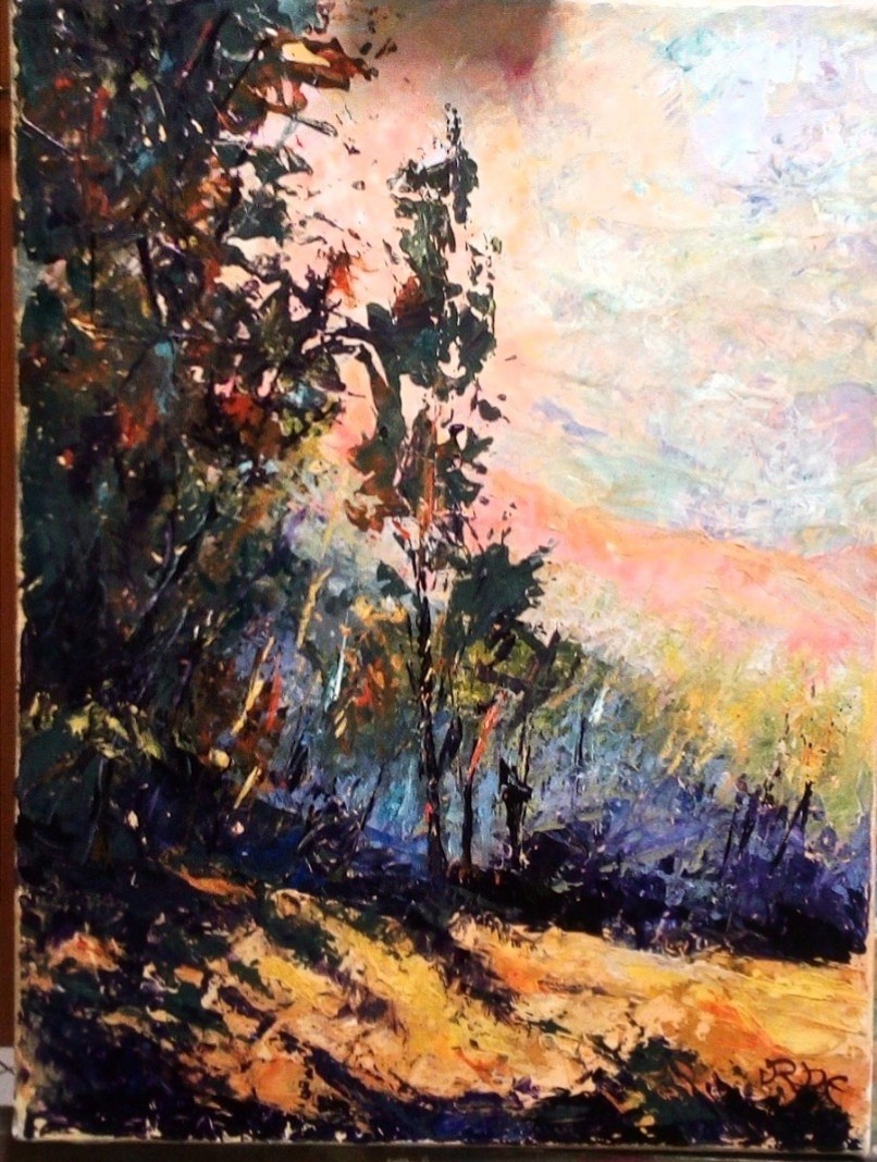 Luci e Ombre nel Paesaggio Incantato